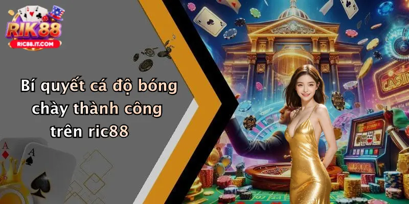 Bí quyết cá độ bóng chày thành công trên ric88