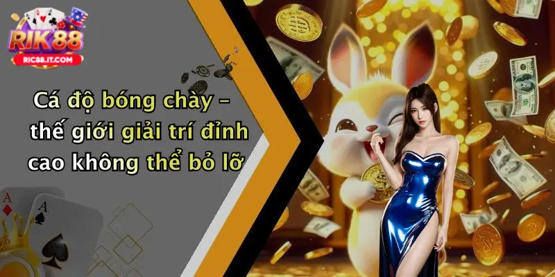 Cá độ bóng chày – thế giới giải trí đỉnh cao không thể bỏ lỡ