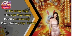 Cá Độ Bóng Chày: Thử Vận May Cùng Ric88 Với Kèo Hấp Dẫn, Thưởng Cực Khủng