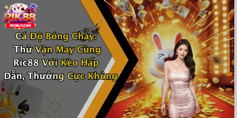 Cá Độ Bóng Chày: Thử Vận May Cùng Ric88 Với Kèo Hấp Dẫn, Thưởng Cực Khủng