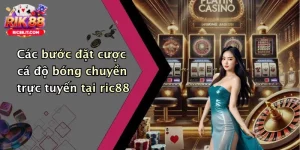 Các bước đặt cược cá độ bóng chuyền trực tuyến tại ric88