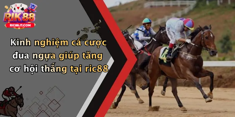 Kinh nghiệm cá cược đua ngựa giúp tăng cơ hội thắng tại ric88