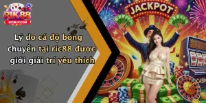 Lý do cá độ bóng chuyền tại ric88 được giới giải trí yêu thích