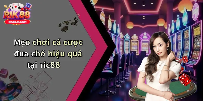 Mẹo chơi cá cược đua chó hiệu quả tại ric88