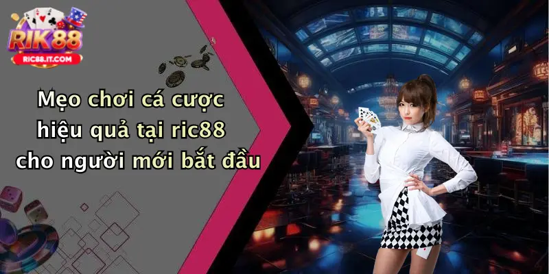Mẹo chơi cá cược hiệu quả tại ric88 cho người mới bắt đầu